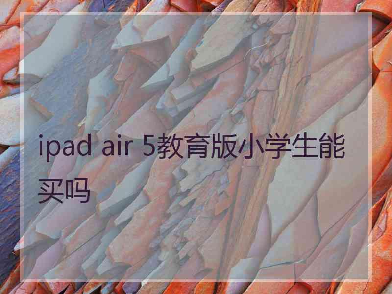 ipad air 5教育版小学生能买吗