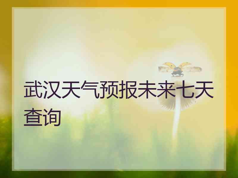 武汉天气预报未来七天查询