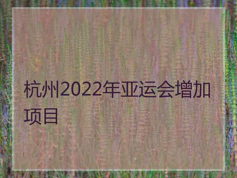 杭州2022年亚运会增加项目