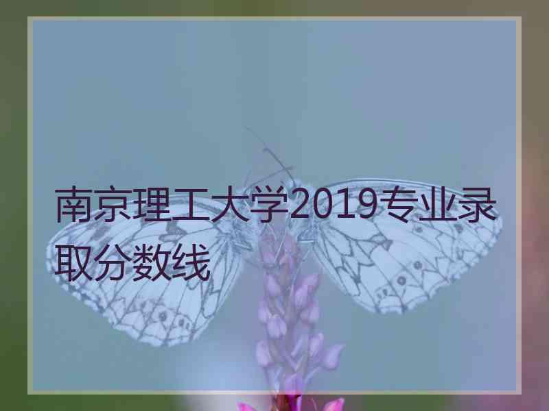 南京理工大学2019专业录取分数线