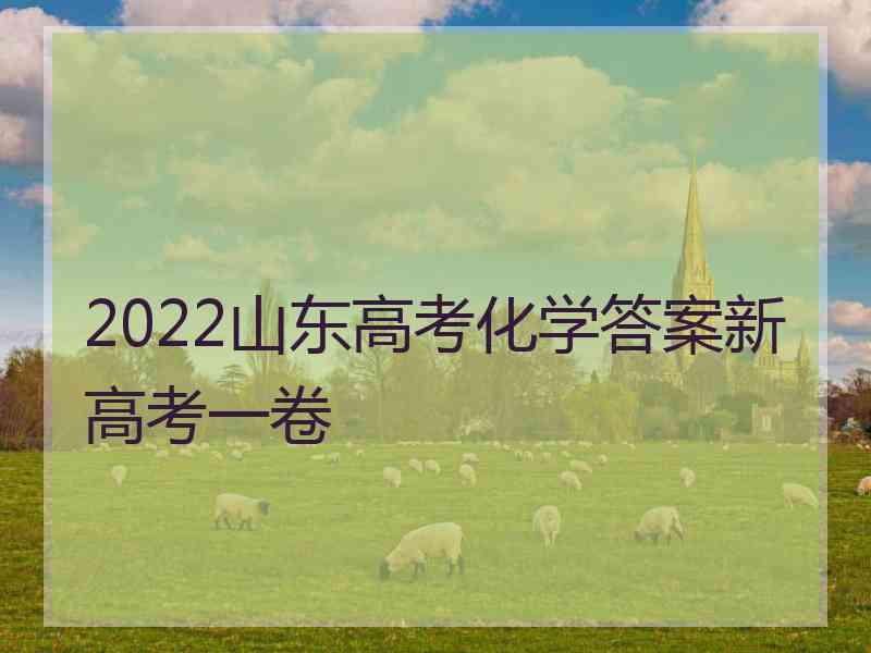 2022山东高考化学答案新高考一卷