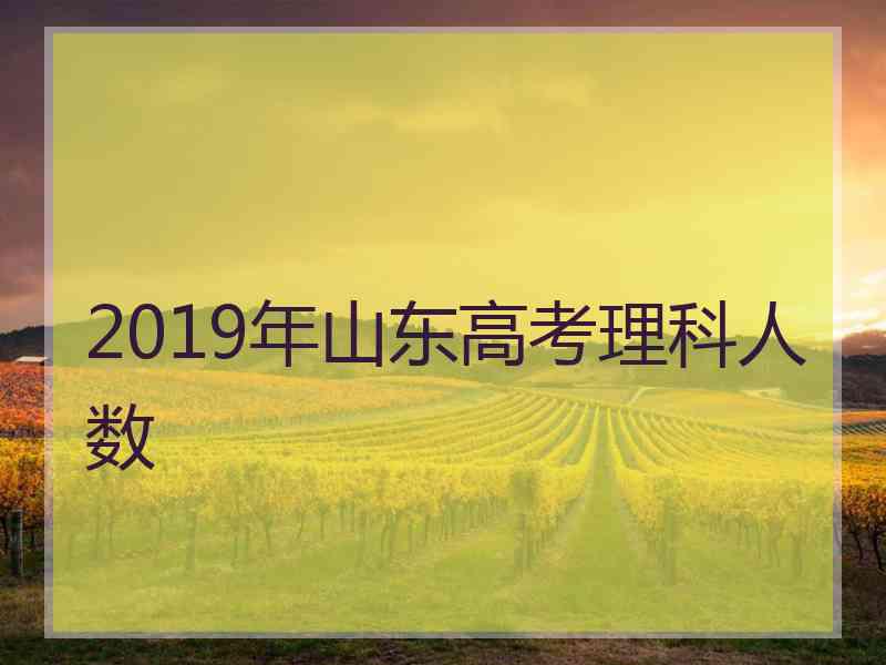 2019年山东高考理科人数