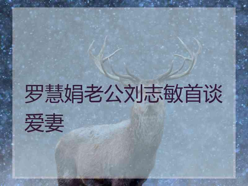 罗慧娟老公刘志敏首谈爱妻