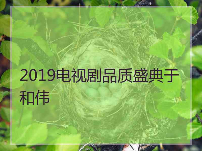 2019电视剧品质盛典于和伟