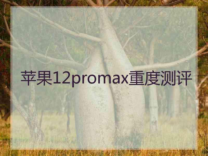 苹果12promax重度测评