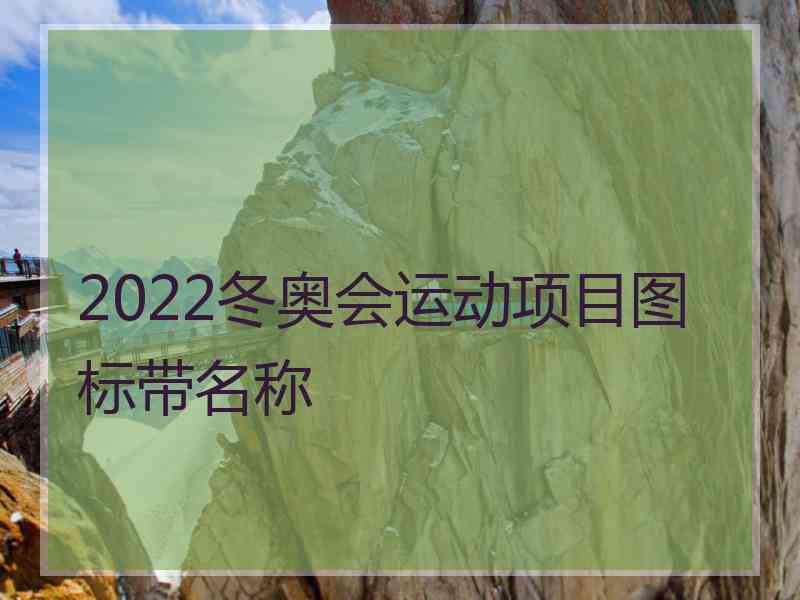 2022冬奥会运动项目图标带名称