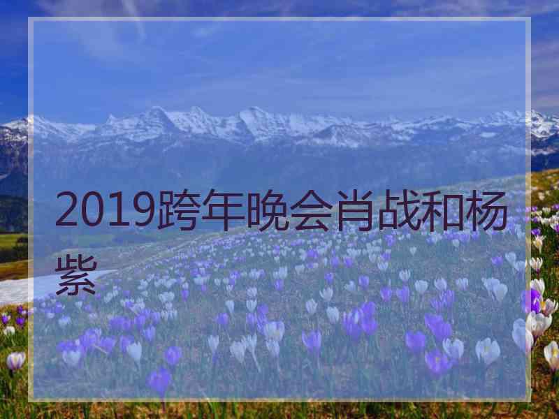 2019跨年晚会肖战和杨紫