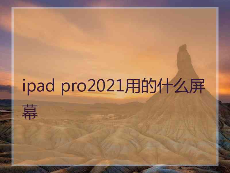 ipad pro2021用的什么屏幕