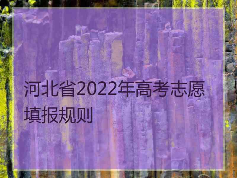 河北省2022年高考志愿填报规则