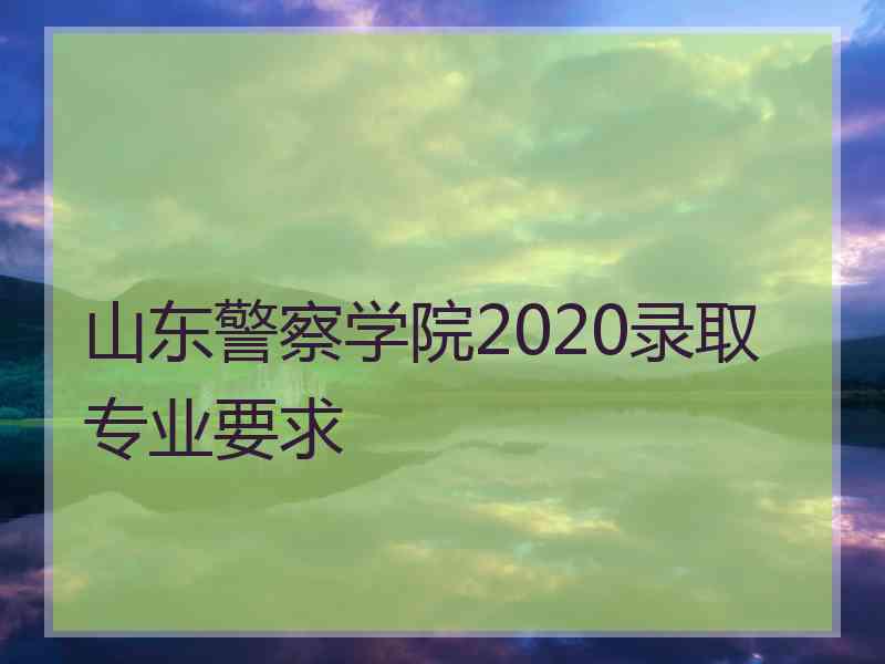 山东警察学院2020录取专业要求