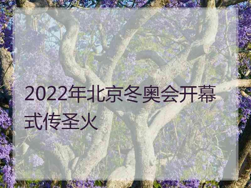 2022年北京冬奥会开幕式传圣火