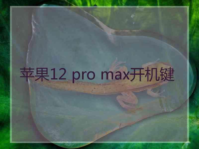 苹果12 pro max开机键