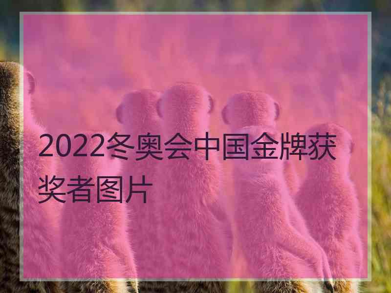 2022冬奥会中国金牌获奖者图片