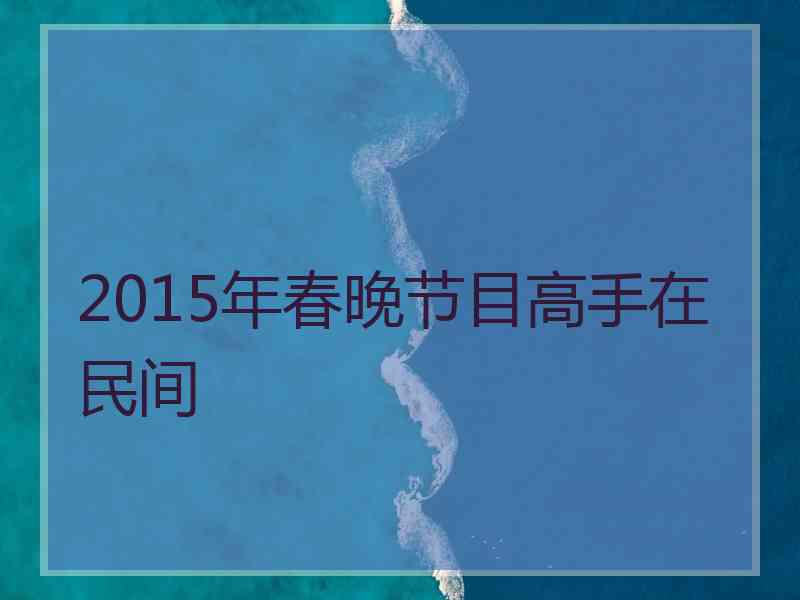 2015年春晚节目高手在民间