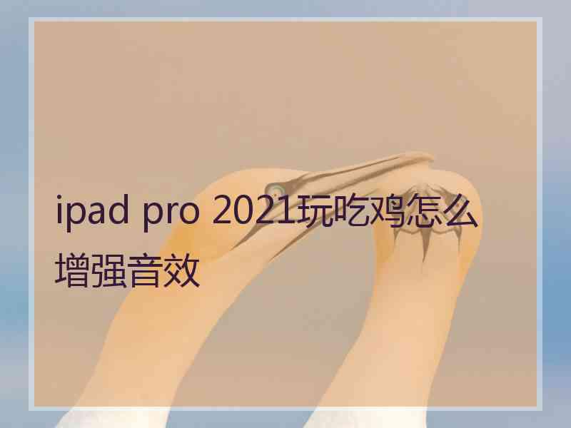 ipad pro 2021玩吃鸡怎么增强音效