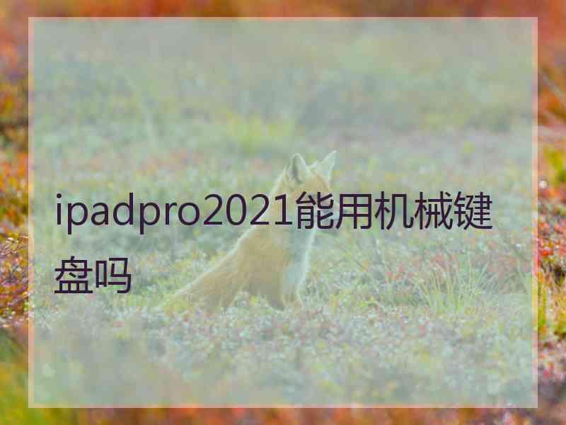 ipadpro2021能用机械键盘吗