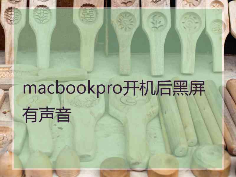 macbookpro开机后黑屏有声音