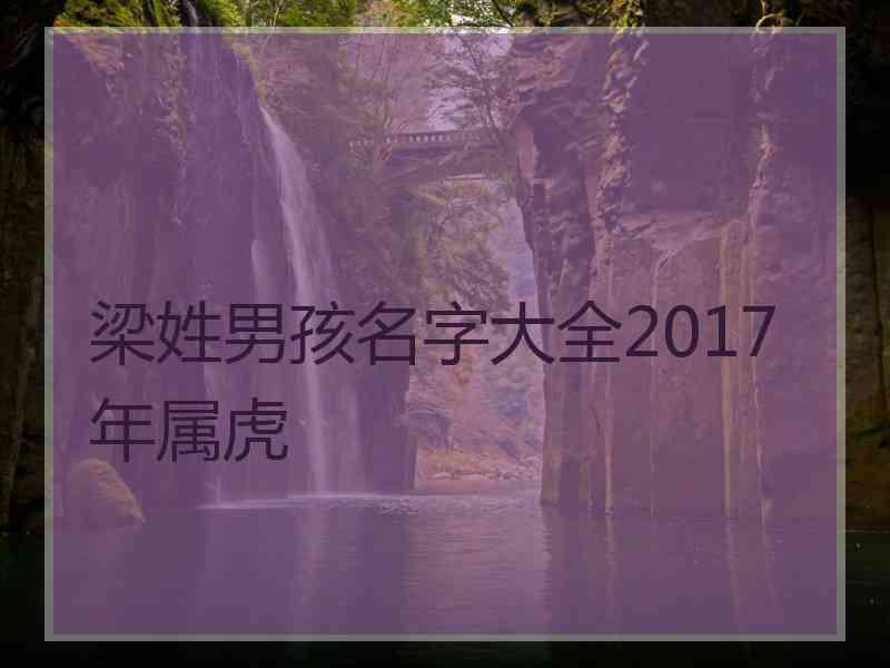 梁姓男孩名字大全2017年属虎