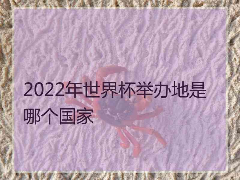 2022年世界杯举办地是哪个国家