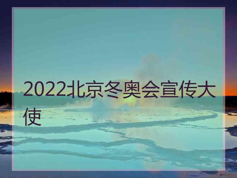 2022北京冬奥会宣传大使