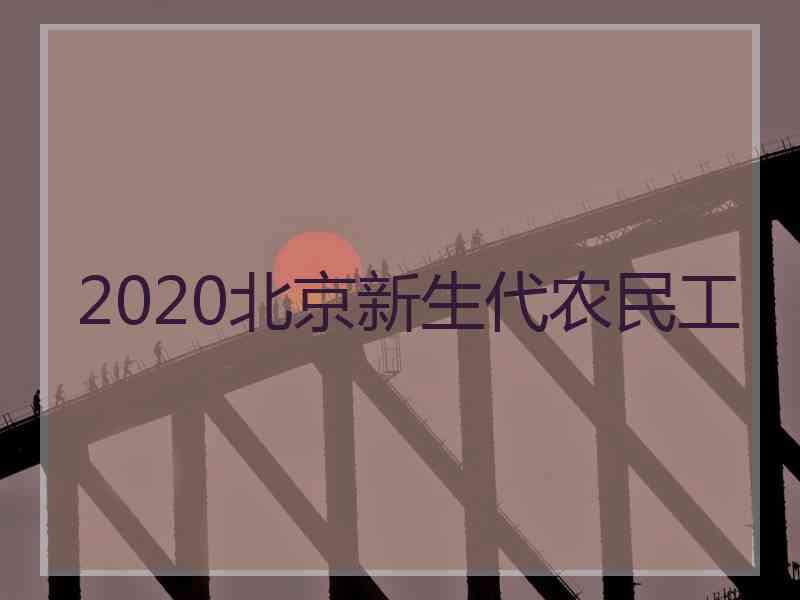 2020北京新生代农民工