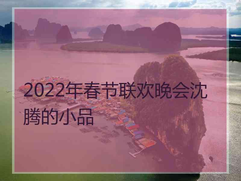 2022年春节联欢晚会沈腾的小品