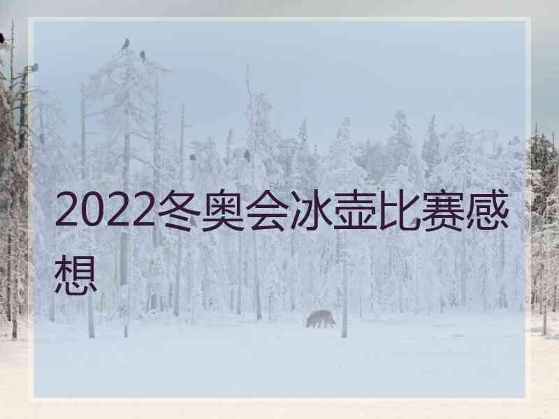 2022冬奥会冰壶比赛感想