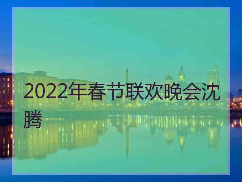 2022年春节联欢晚会沈腾