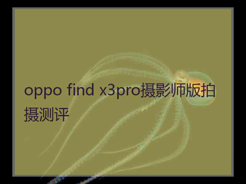 oppo find x3pro摄影师版拍摄测评