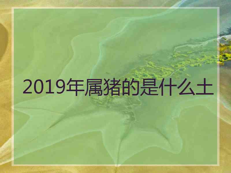 2019年属猪的是什么土