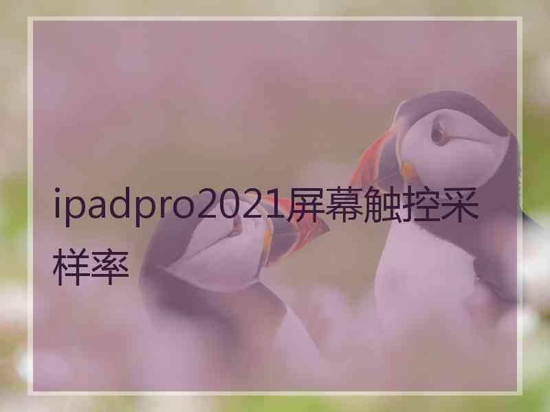 ipadpro2021屏幕触控采样率