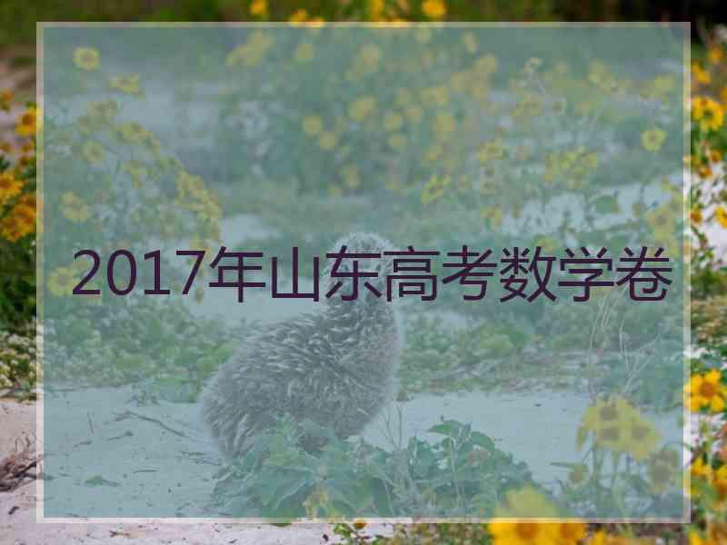 2017年山东高考数学卷