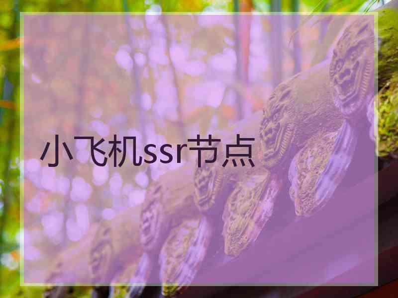 小飞机ssr节点