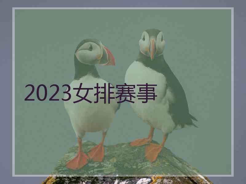 2023女排赛事