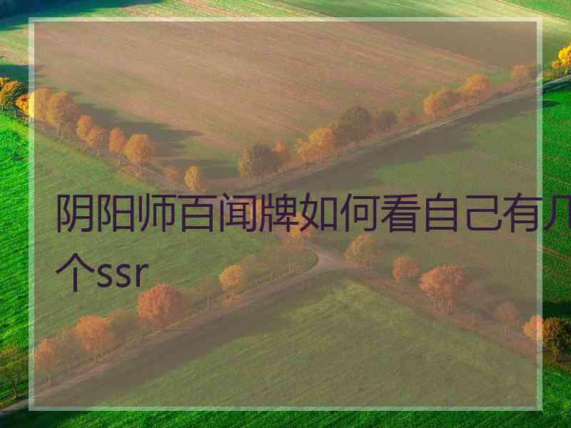 阴阳师百闻牌如何看自己有几个ssr