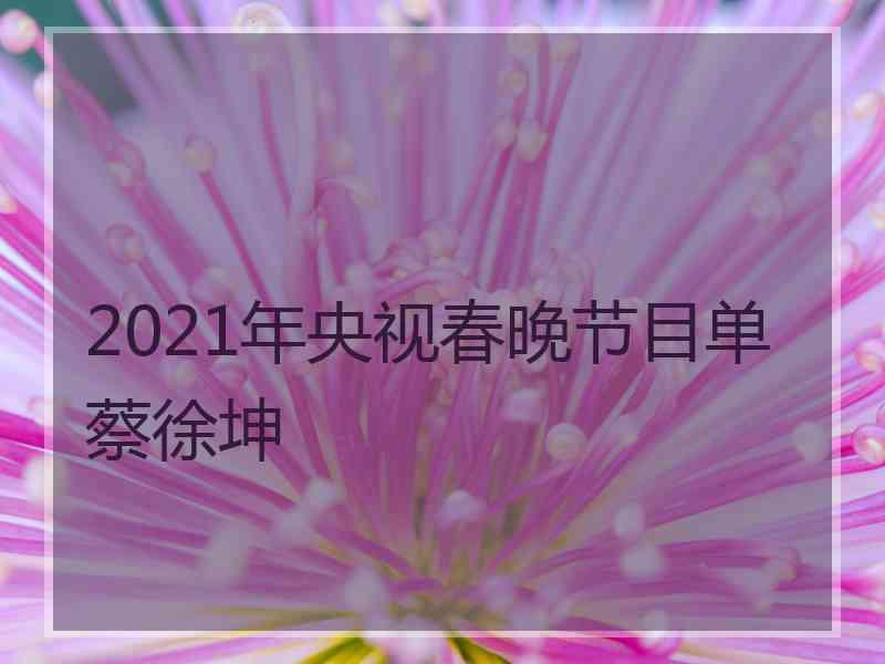 2021年央视春晚节目单蔡徐坤