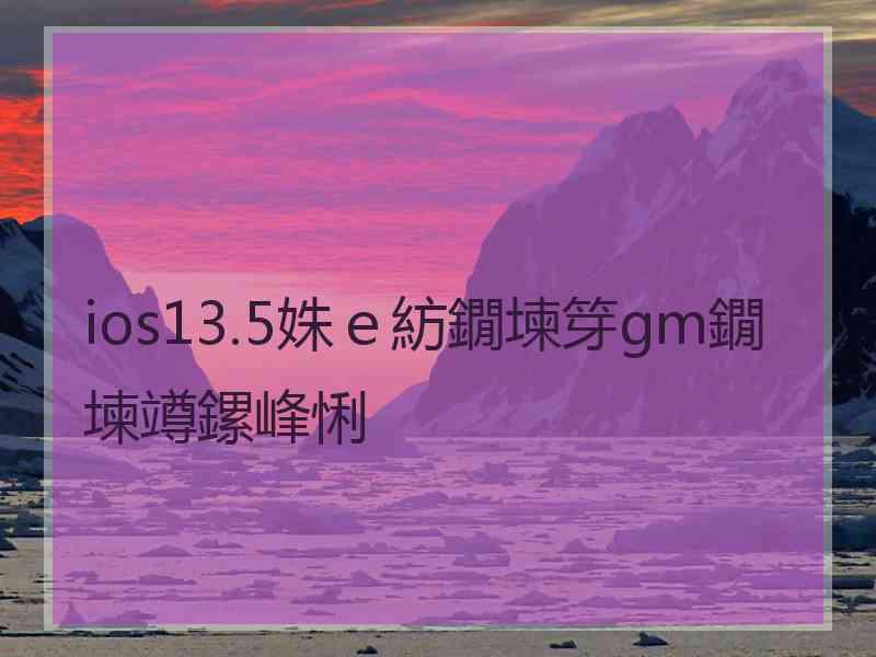 ios13.5姝ｅ紡鐗堜笌gm鐗堜竴鏍峰悧