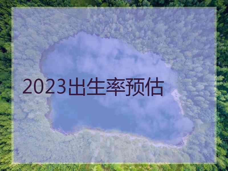 2023出生率预估