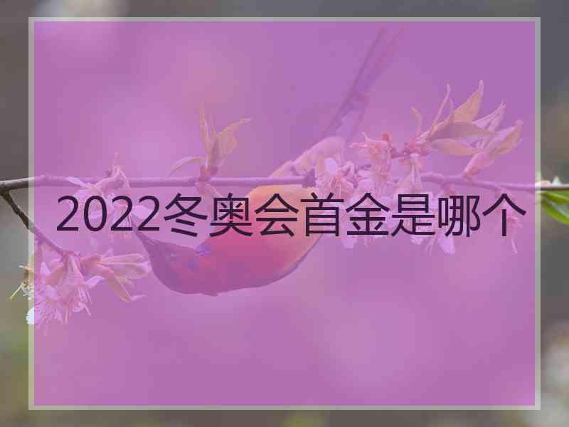 2022冬奥会首金是哪个