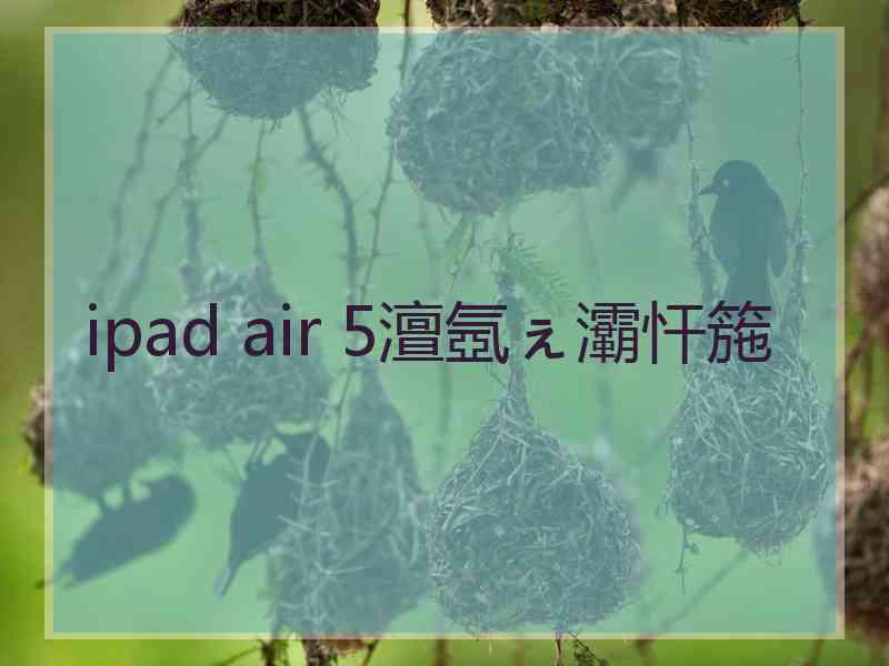 ipad air 5澶氬ぇ灞忓箷