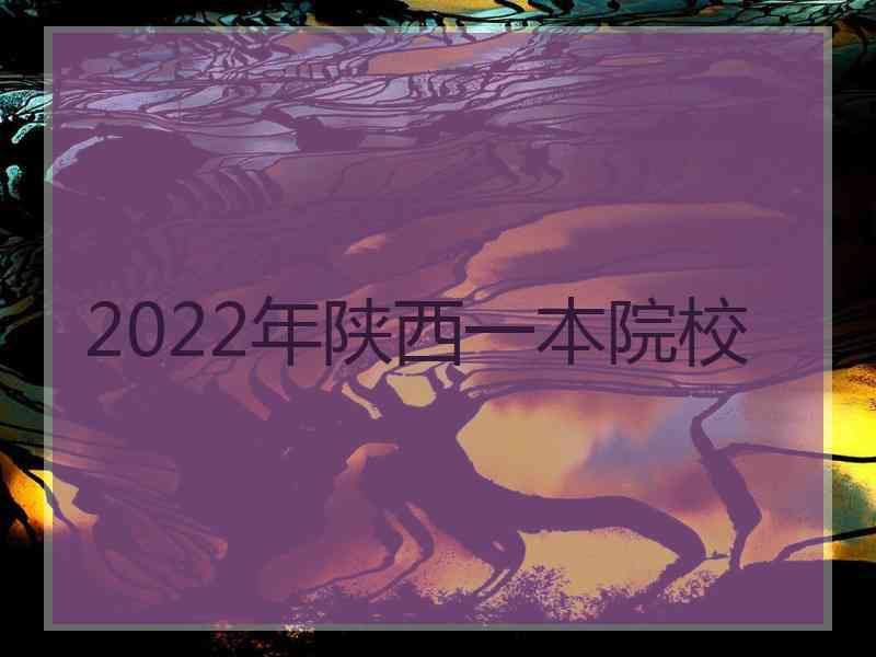 2022年陕西一本院校