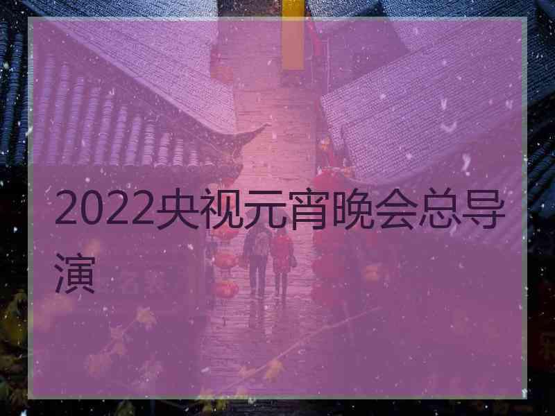 2022央视元宵晚会总导演