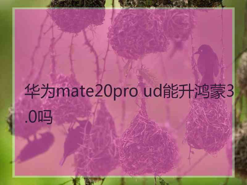 华为mate20pro ud能升鸿蒙3.0吗