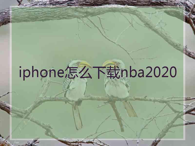 iphone怎么下载nba2020