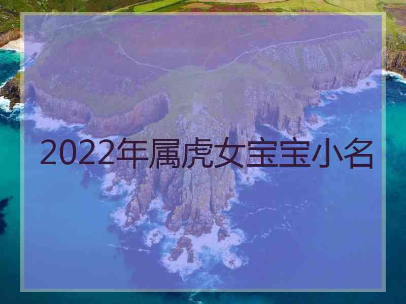 2022年属虎女宝宝小名