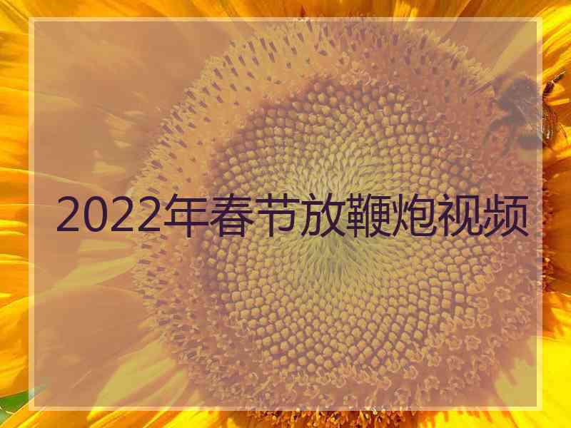 2022年春节放鞭炮视频