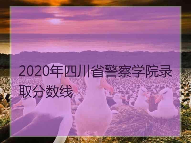 2020年四川省警察学院录取分数线