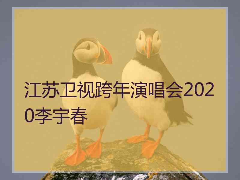 江苏卫视跨年演唱会2020李宇春