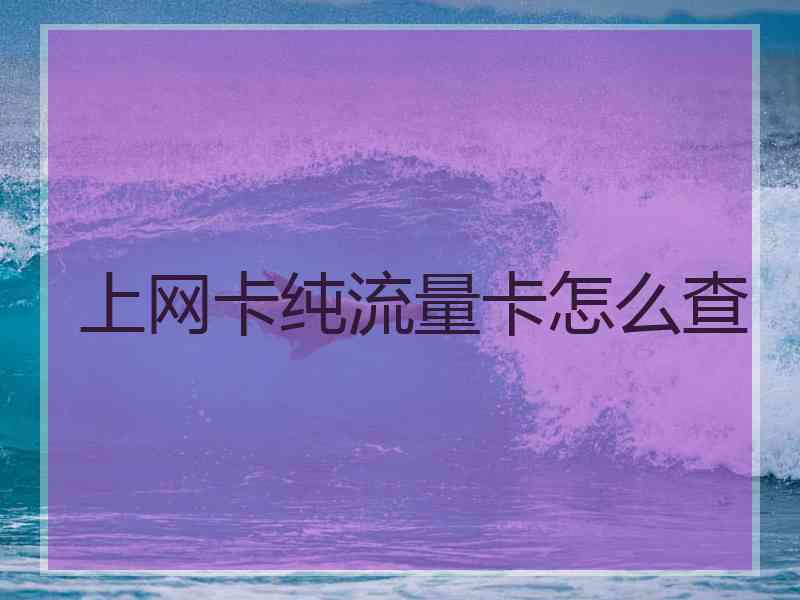 上网卡纯流量卡怎么查