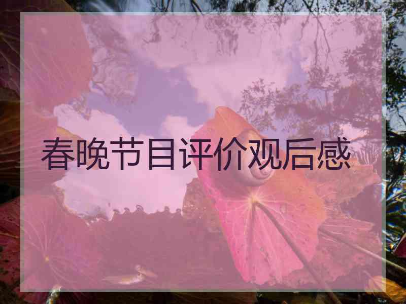 春晚节目评价观后感